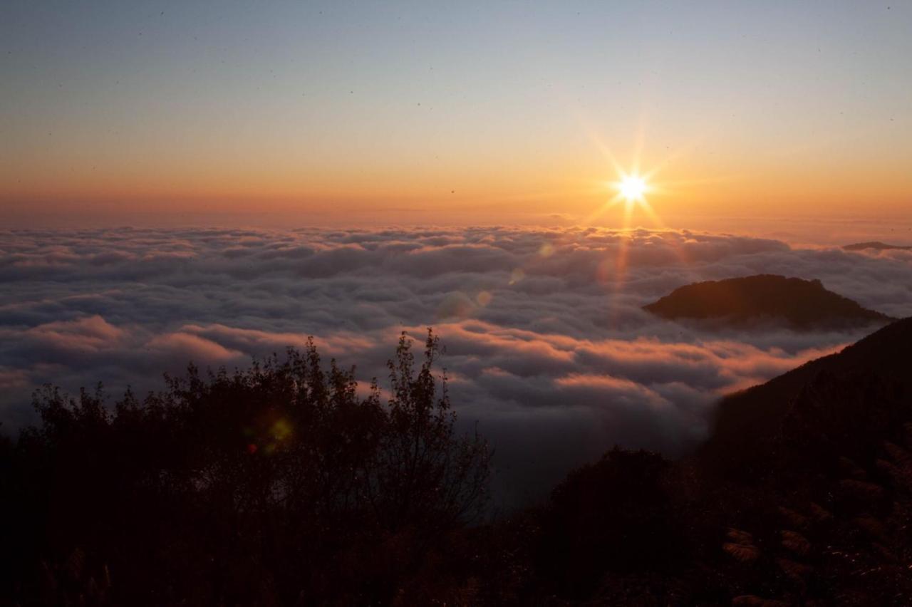 Alishan Shermuh Tourist Hotel Čung-čeng Exteriér fotografie